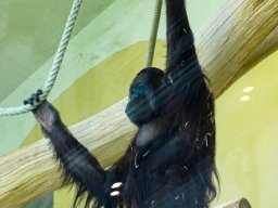 Tiergarten Schönbrunn am 12.03.2025